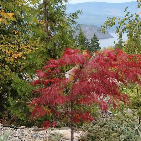 Selah Retreat Guesthouse B&B-3